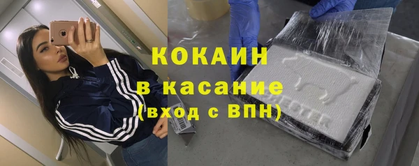 прущие грибы Белокуриха