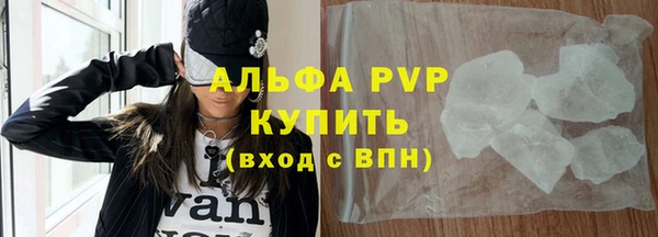 прущие грибы Белокуриха