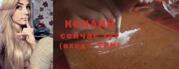прущие грибы Белокуриха