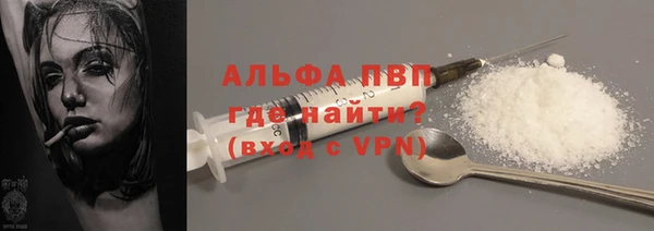 прущие грибы Белокуриха