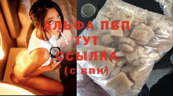 прущие грибы Белокуриха
