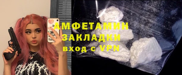 прущие грибы Белокуриха