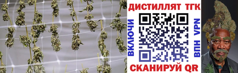 где купить наркотик Энем Дистиллят ТГК концентрат
