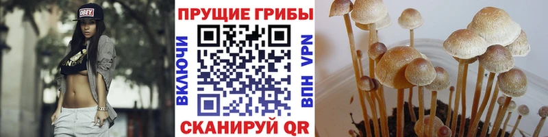 Галлюциногенные грибы мицелий Энем
